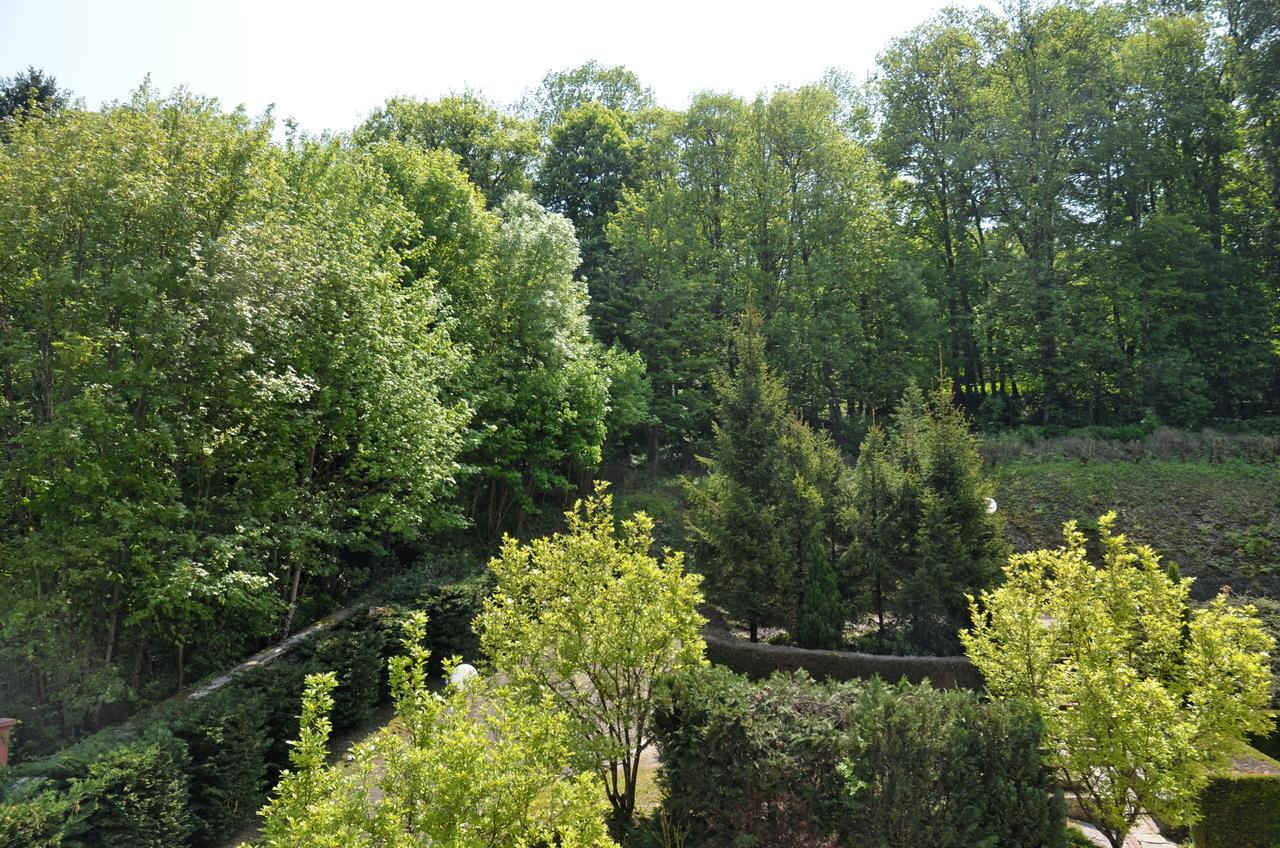 Hotel Et Studios D'Orfeuil Бурбон-ле-Ба Екстериор снимка